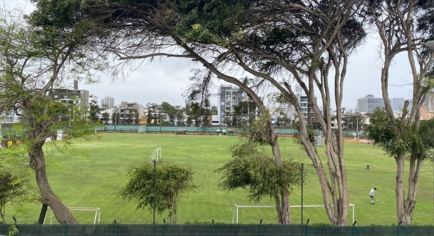 Dile hola a esta espectacular vista - Cricket 17 es un Proyecto creado para ti ENTREGA INMEDIATA